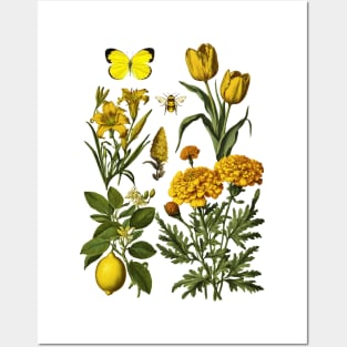 Yellow Botanicals Posters and Art